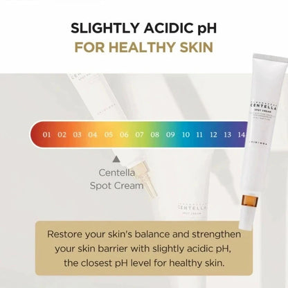 Korean Skin Care Centella Spot Cream 20ml Acne Facial Moisturizing Repairing Cream Smooths Skin Beauty Face Care Products